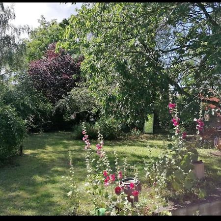 Geraeumiges 120M² Haus Mit Garten + Stellplatz Stralsund Eksteriør billede